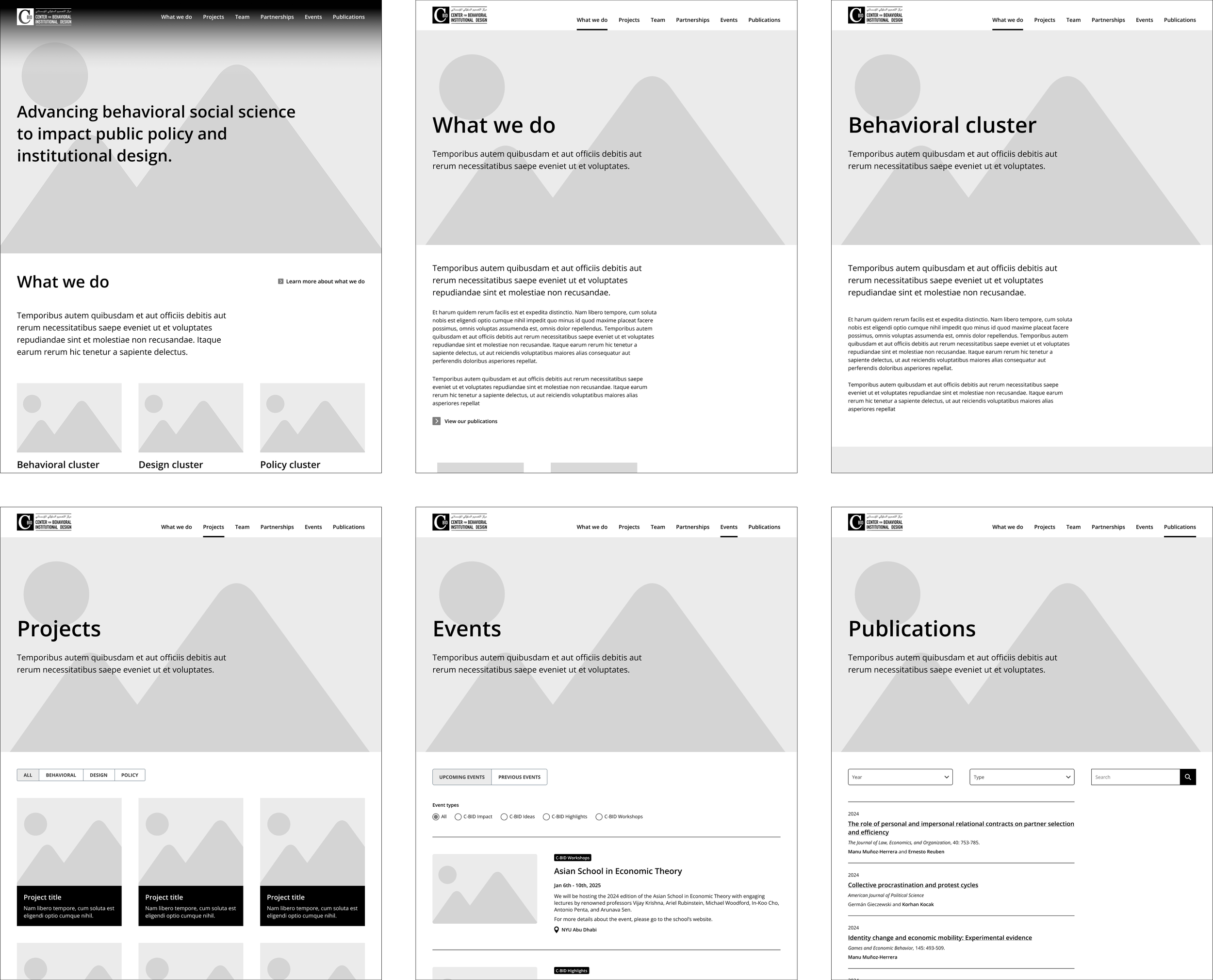 C-BID wireframes